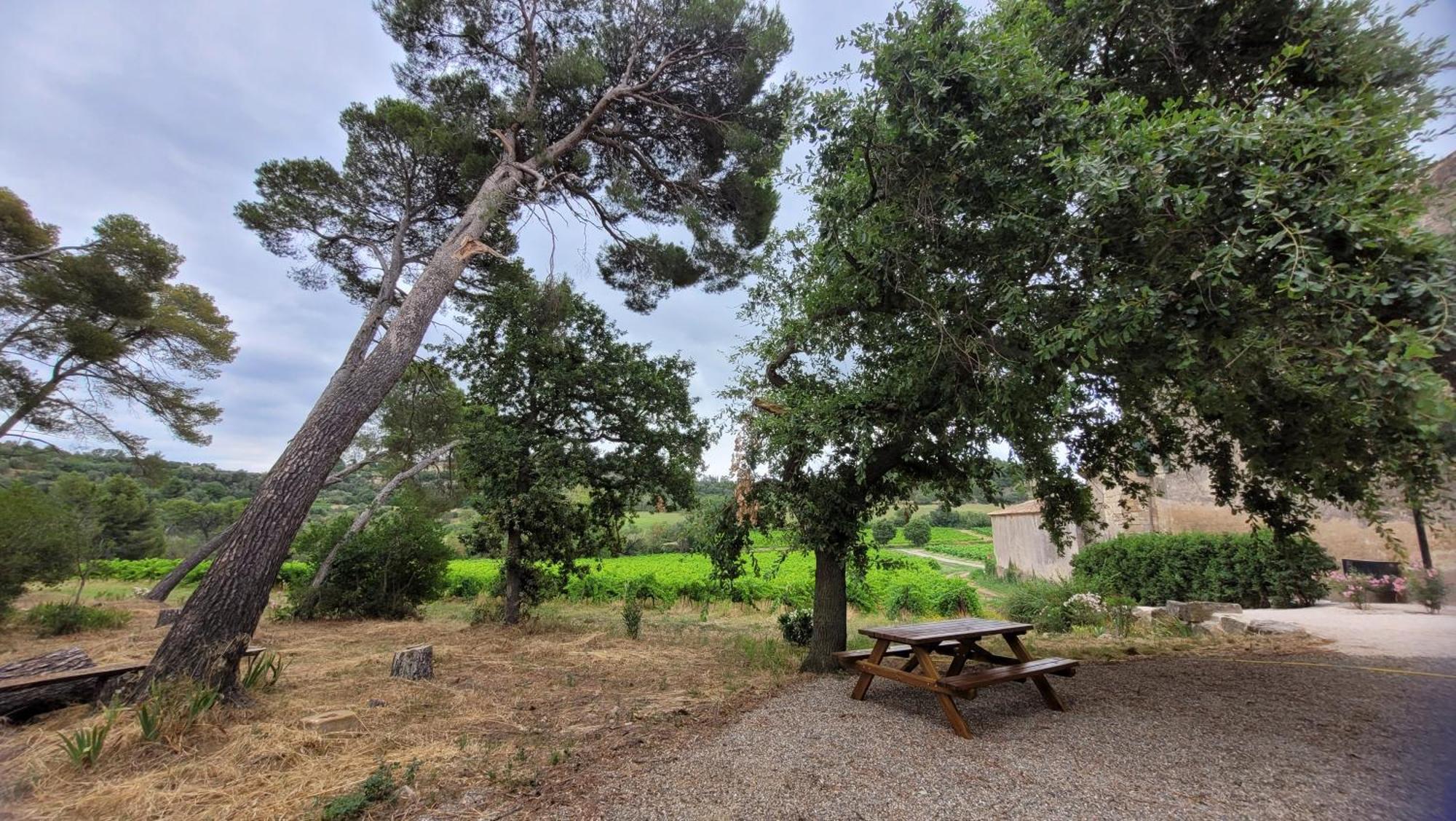 La Pinede, Logement Privatif Au Chateau Aumes Eksteriør billede